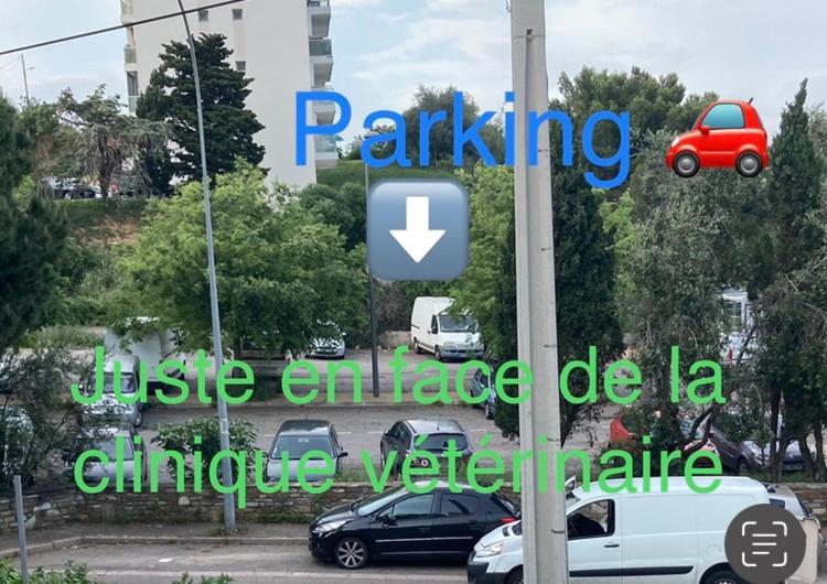 Location Chambre Avec Salle De Bain Et Partie Commune Sea View & Mountain View Renting 1 Of 3 Bedrooms With Shared Common Space 3 Bdrm Apt Not 1 Bdrm Plus Clime Ou Ac Бастія Екстер'єр фото